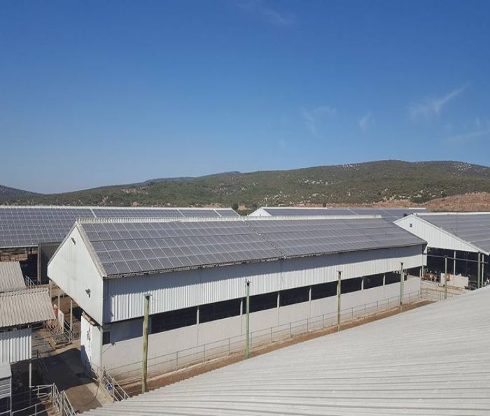 İzgüven Enerji  Elektrik