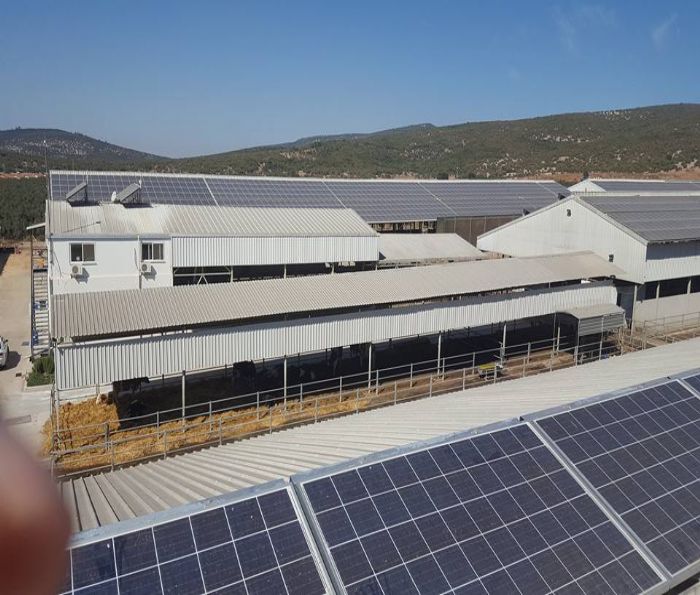 İzgüven Enerji  Elektrik