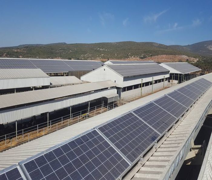İzgüven Enerji  Elektrik